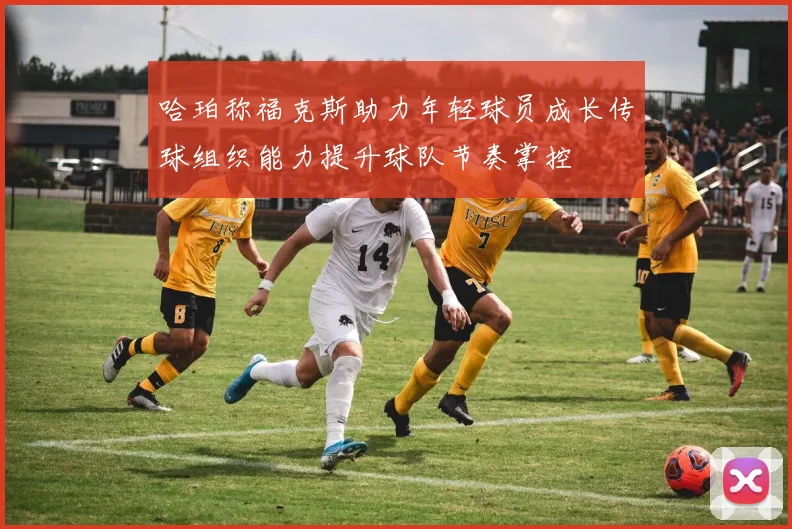 哈珀称福克斯助力年轻球员成长传球组织能力提升球队节奏掌控