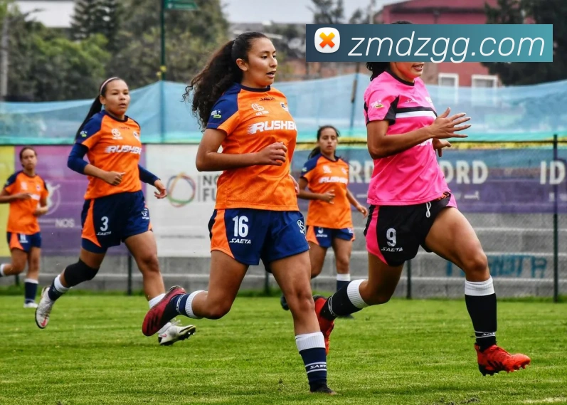 九游官网app品牌故事