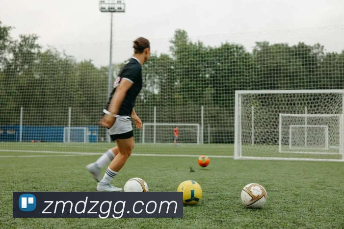 九游官网app服务体系